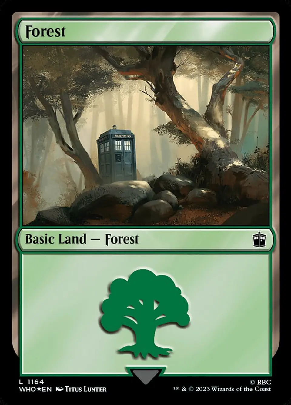 Forest 1