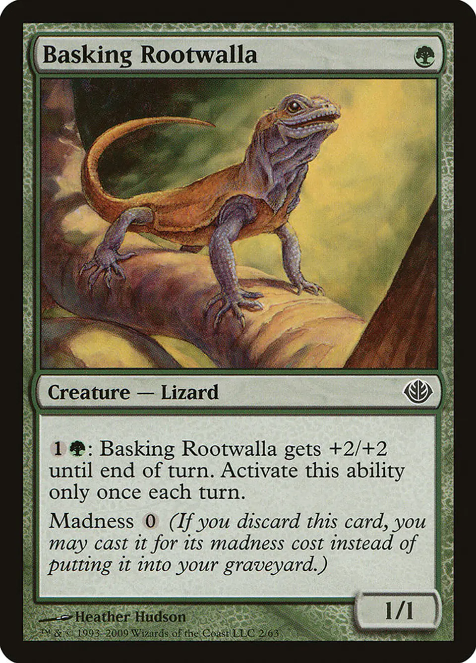 Basking Rootwalla 1
