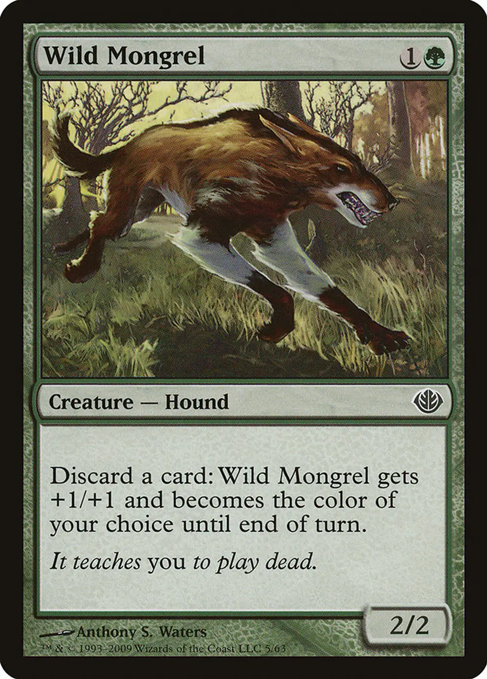 Wild Mongrel 1