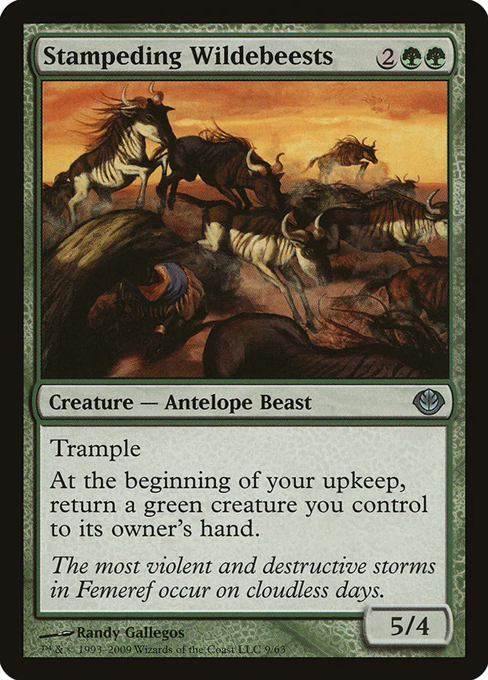 Stampeding Wildebeests 1