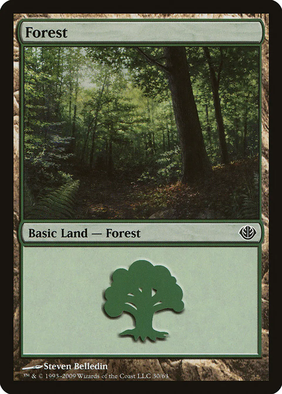 Forest 1