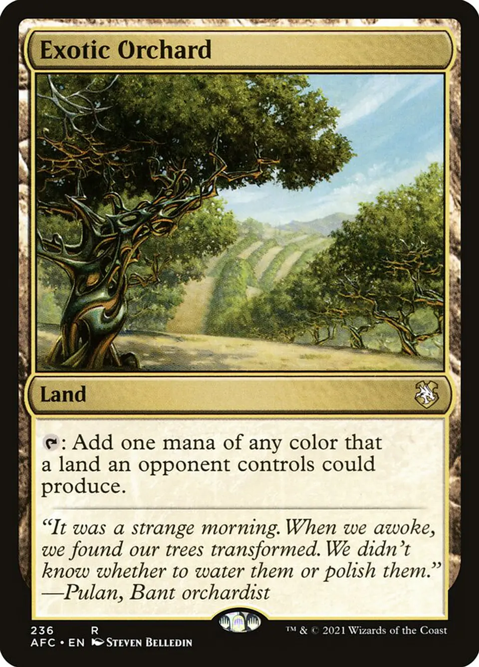 Exotic Orchard 1