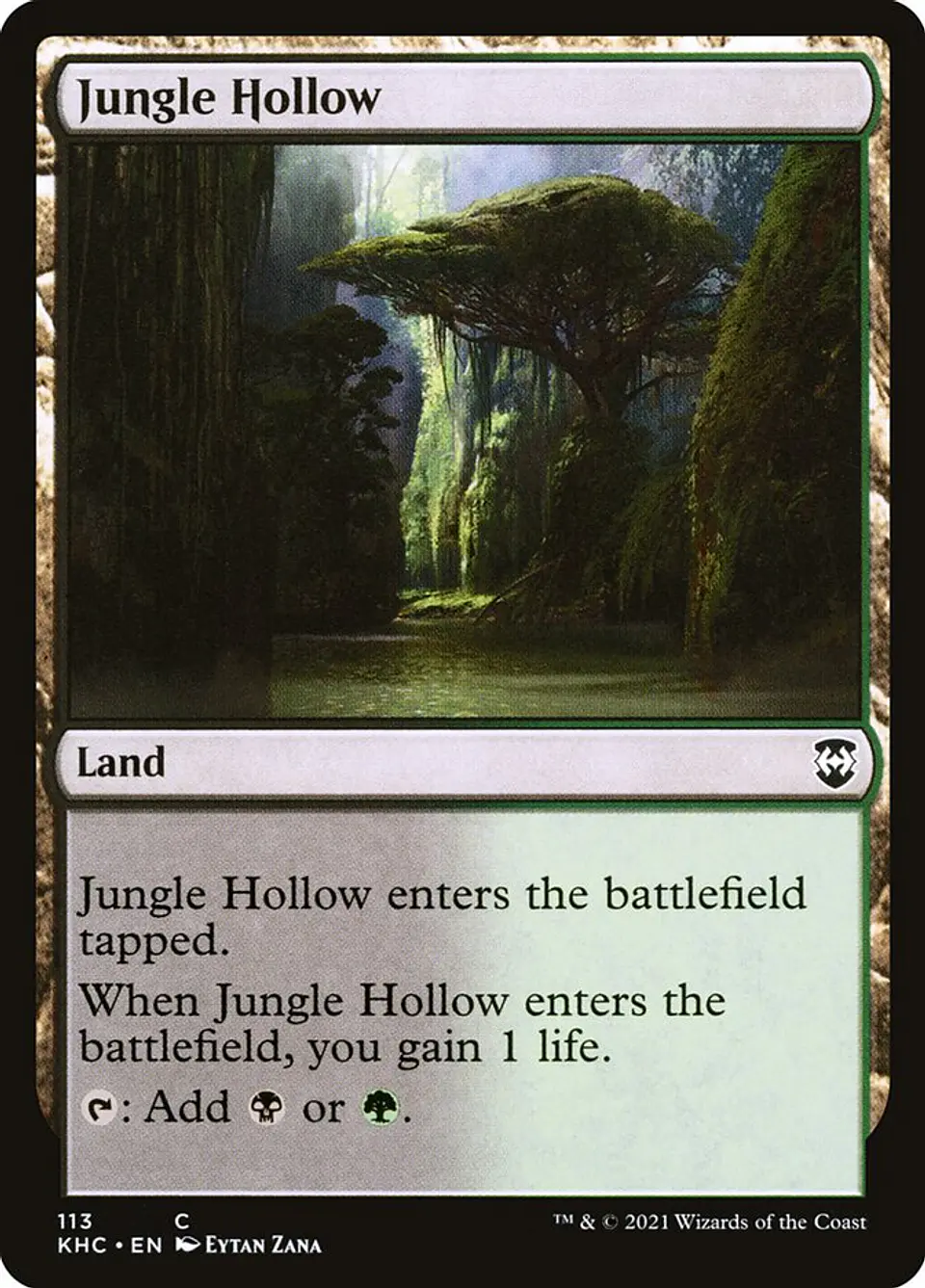 Jungle Hollow 1