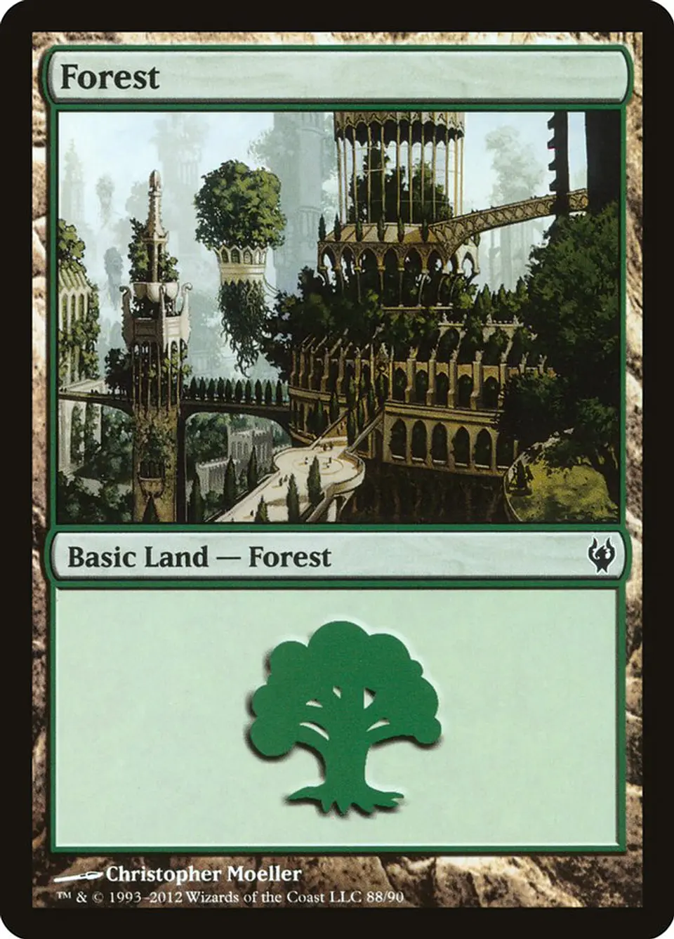 Forest 1