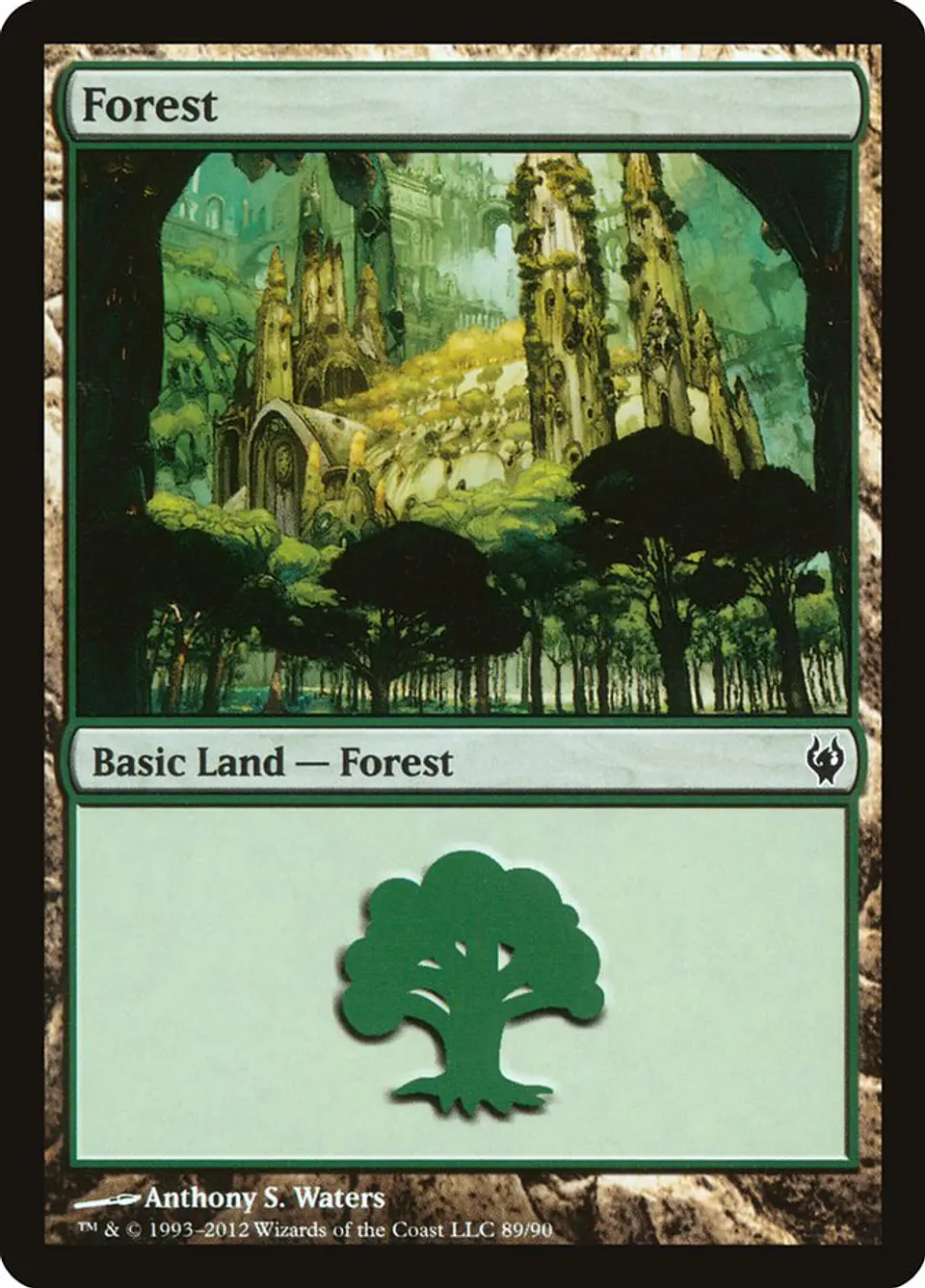 Forest 1