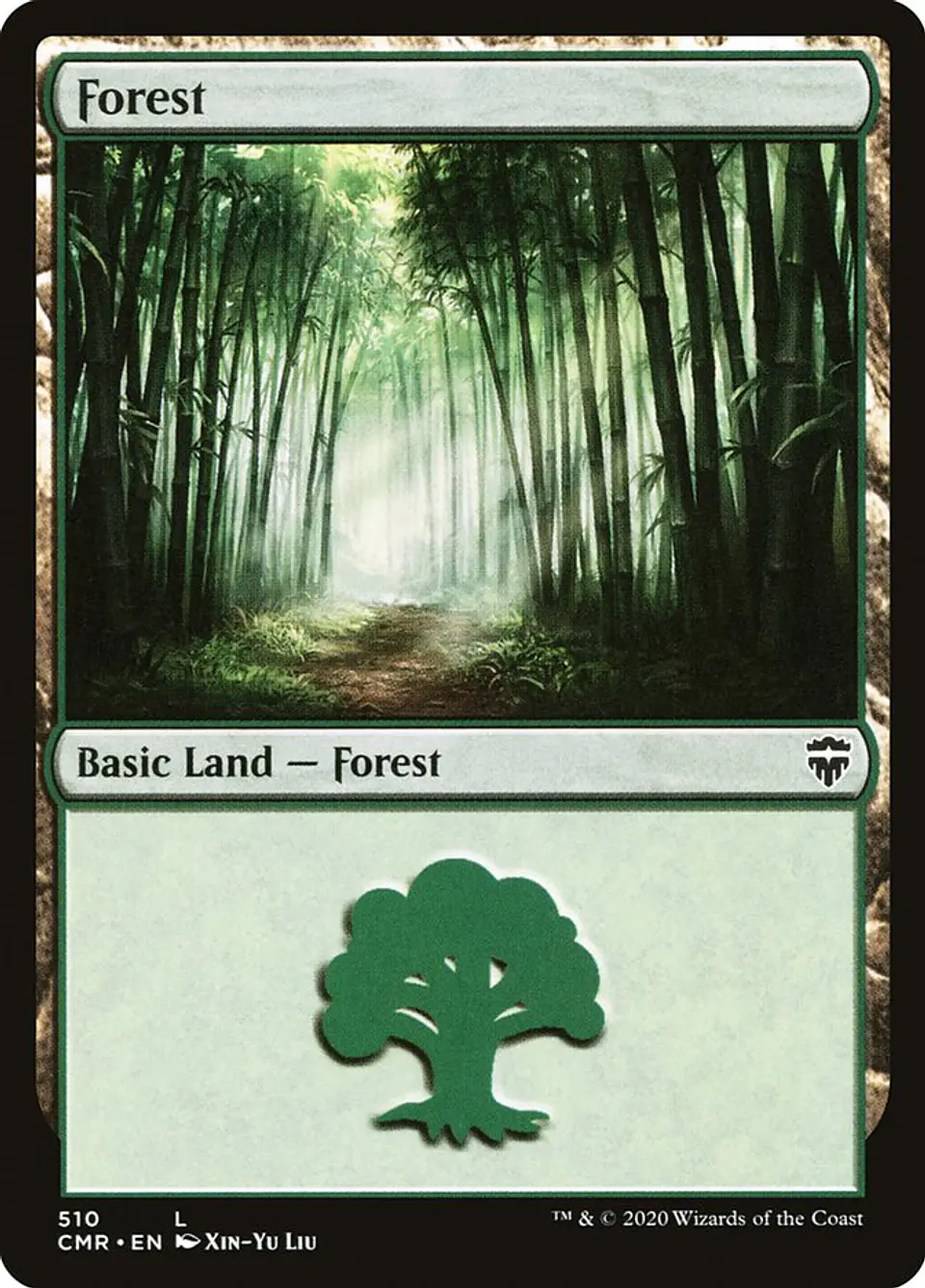 Forest 1