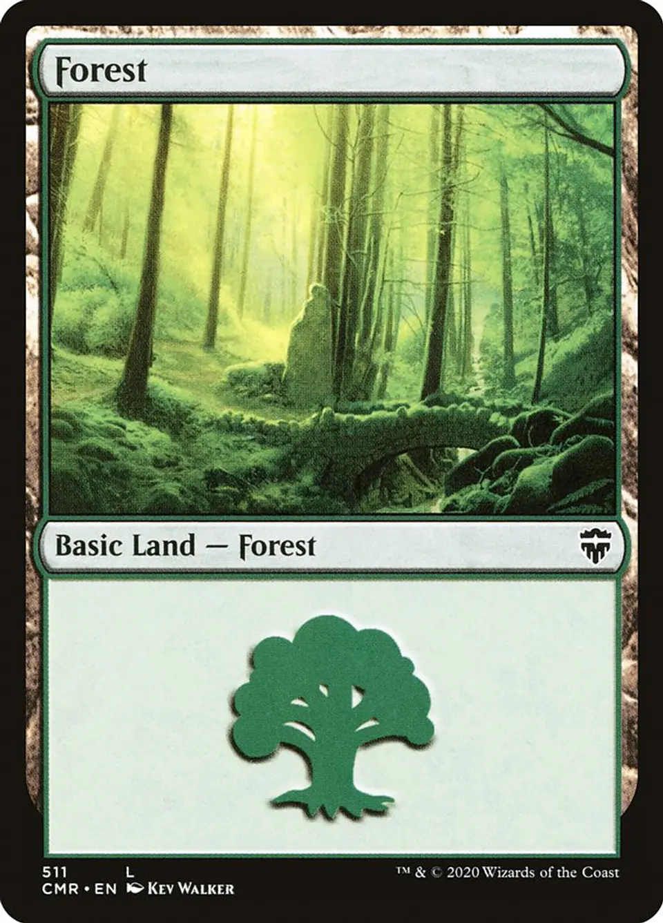 Forest 1