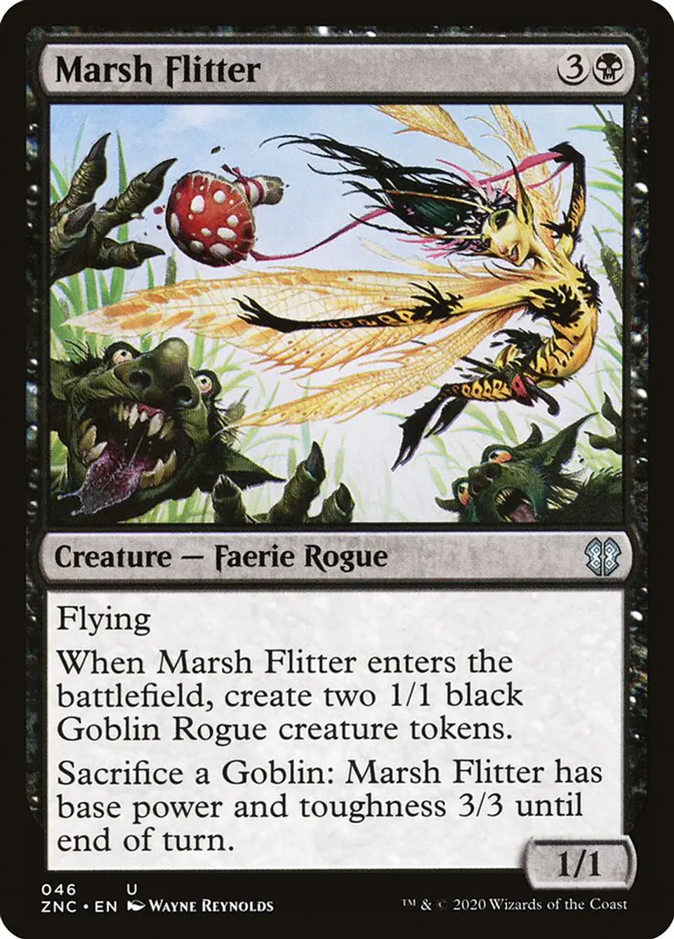 Marsh Flitter 1