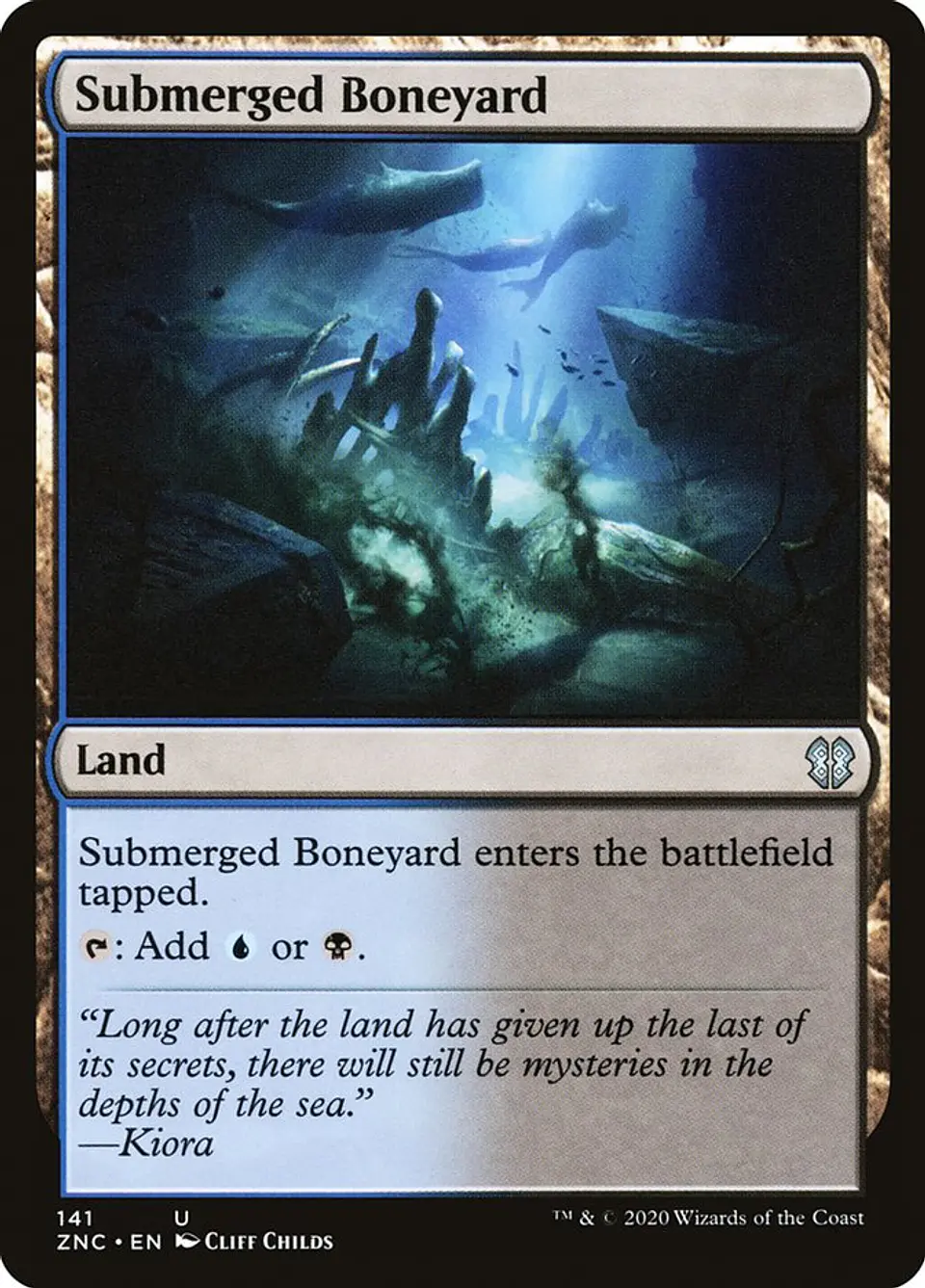 Submerged Boneyard 1