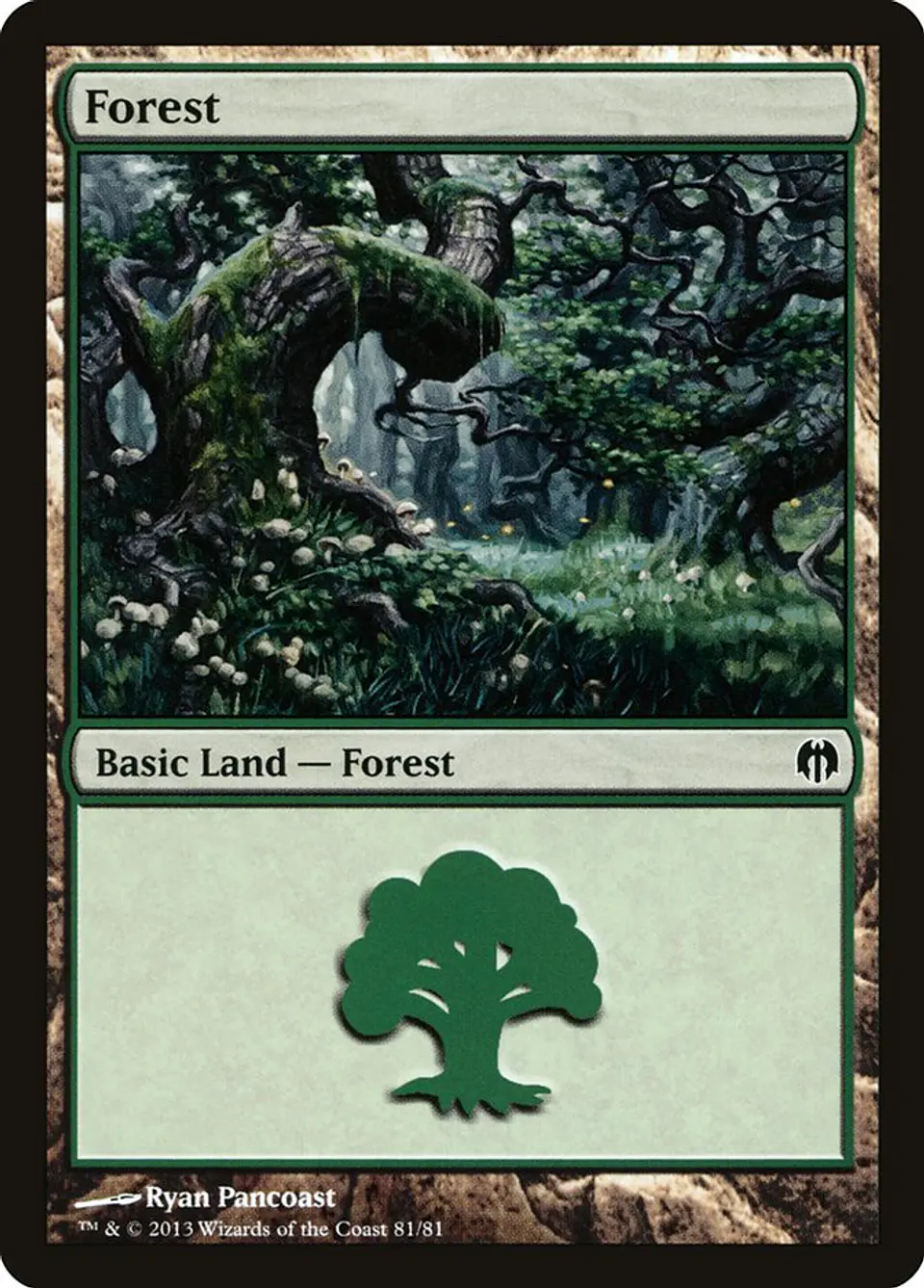 Forest 1