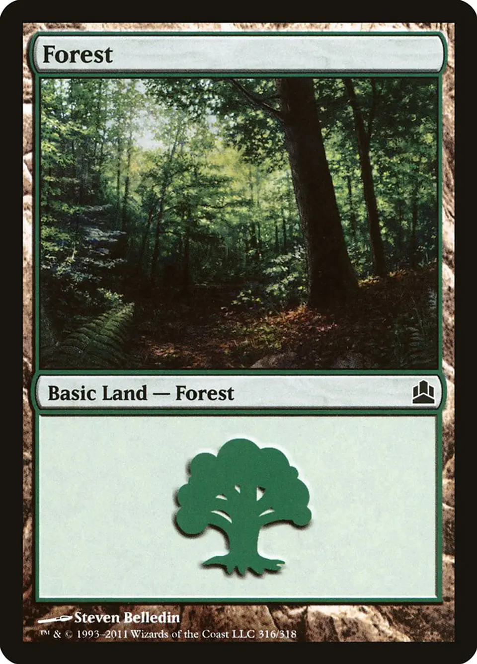 Forest 1