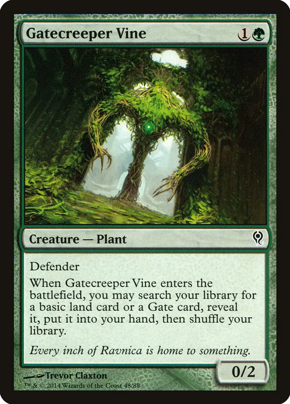 Gatecreeper Vine 1