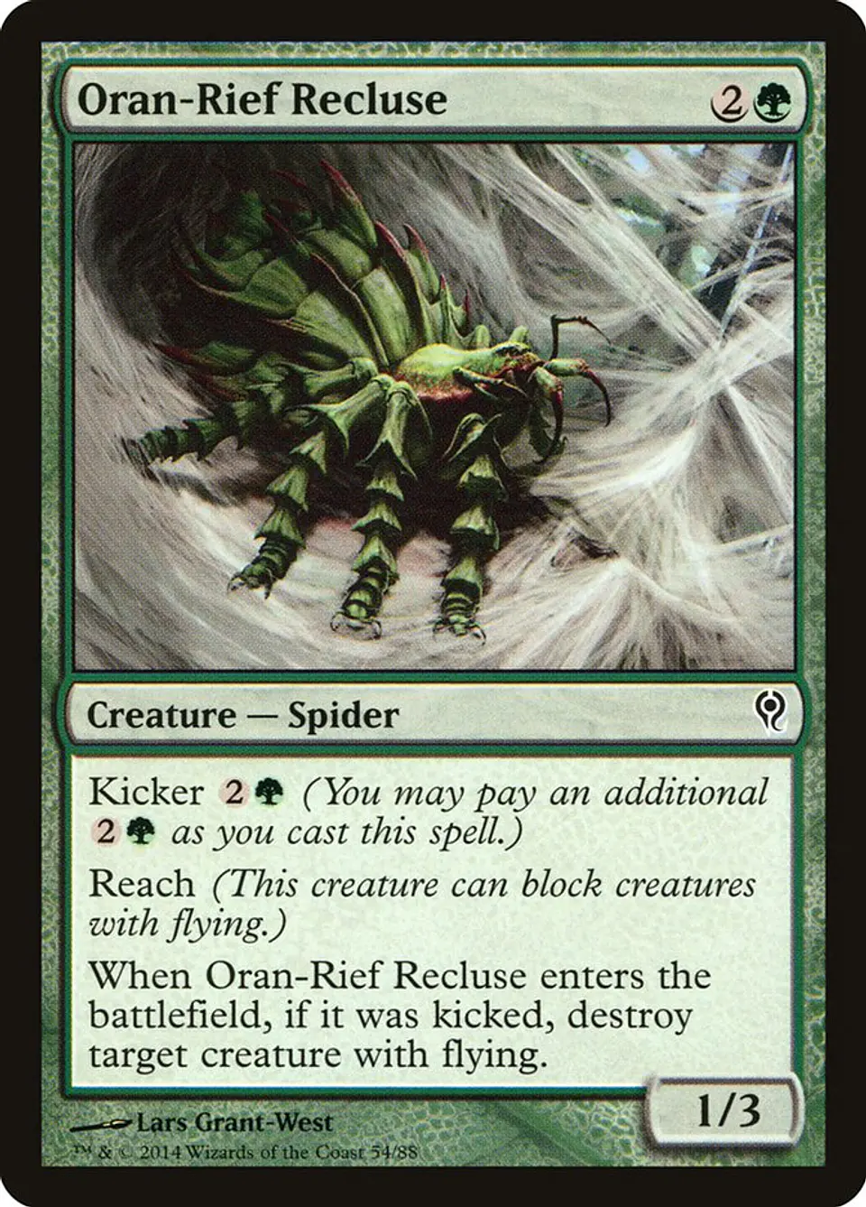 Oran-Rief Recluse 1