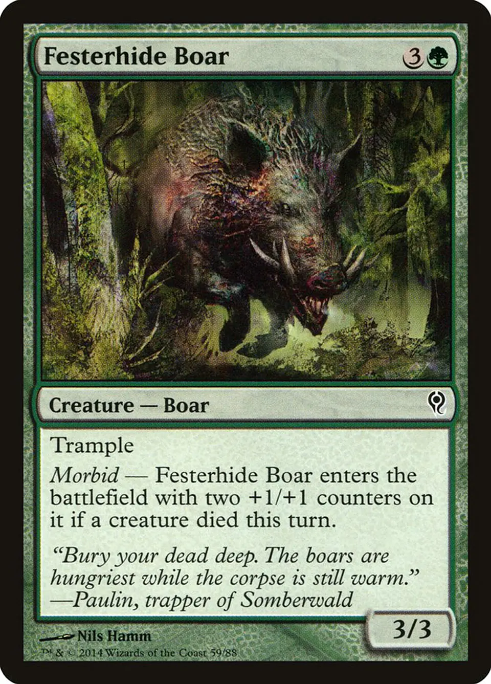 Festerhide Boar 1