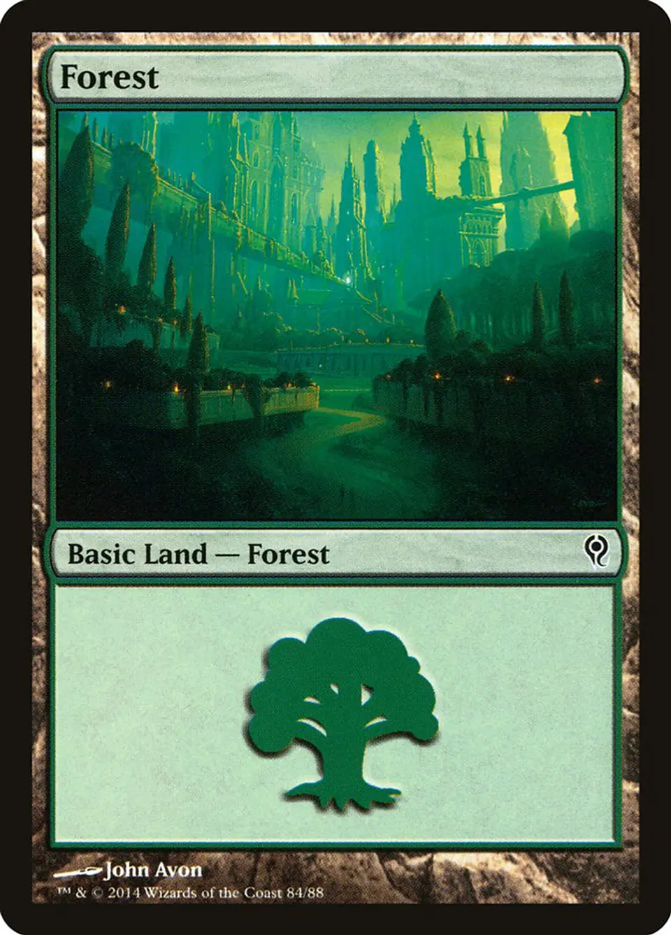 Forest 1