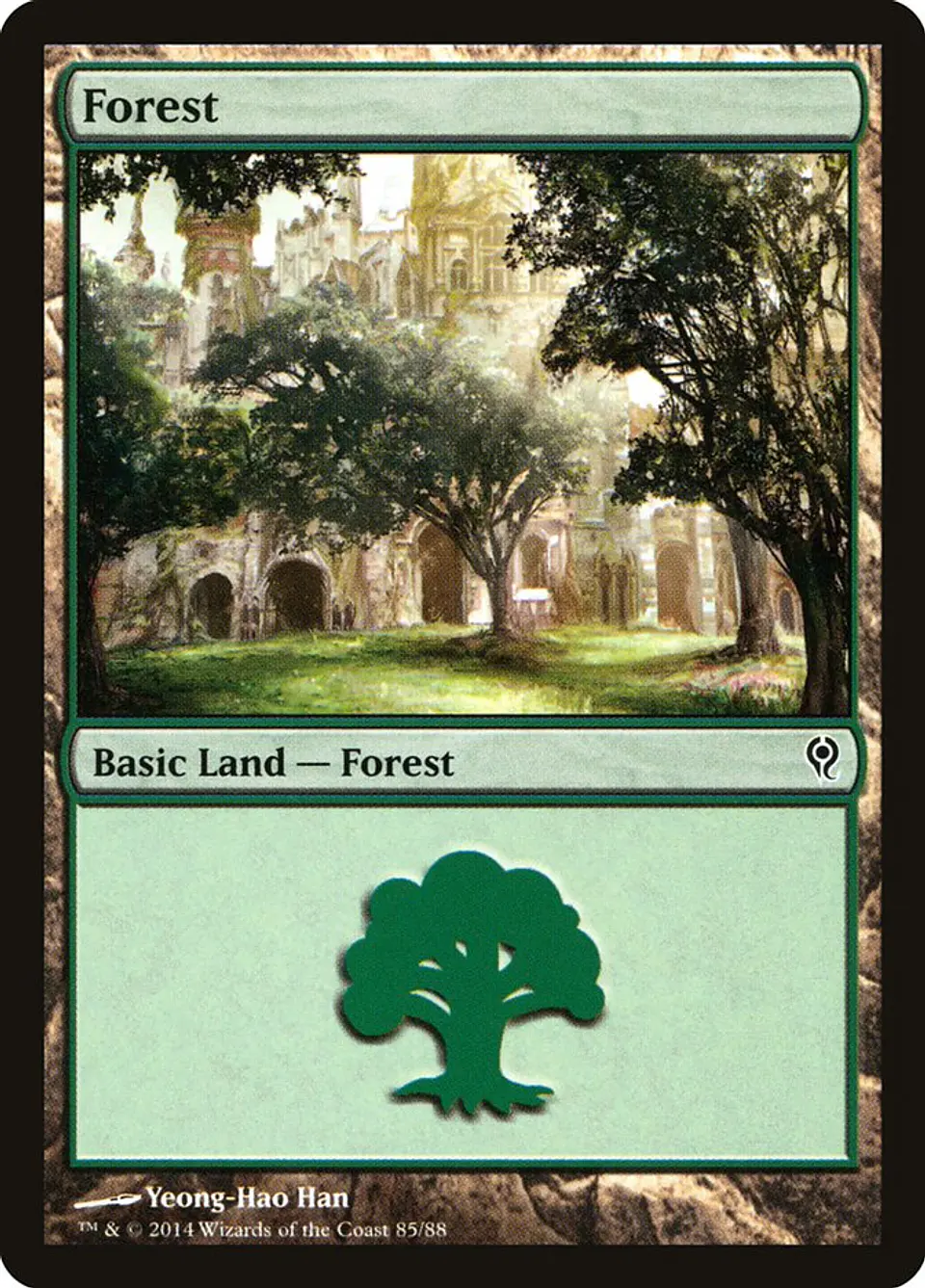Forest 1
