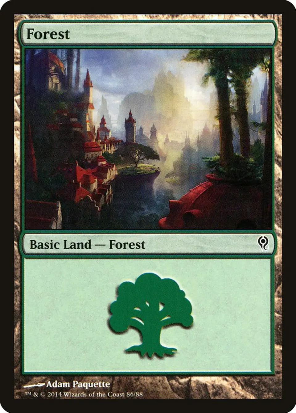 Forest 1