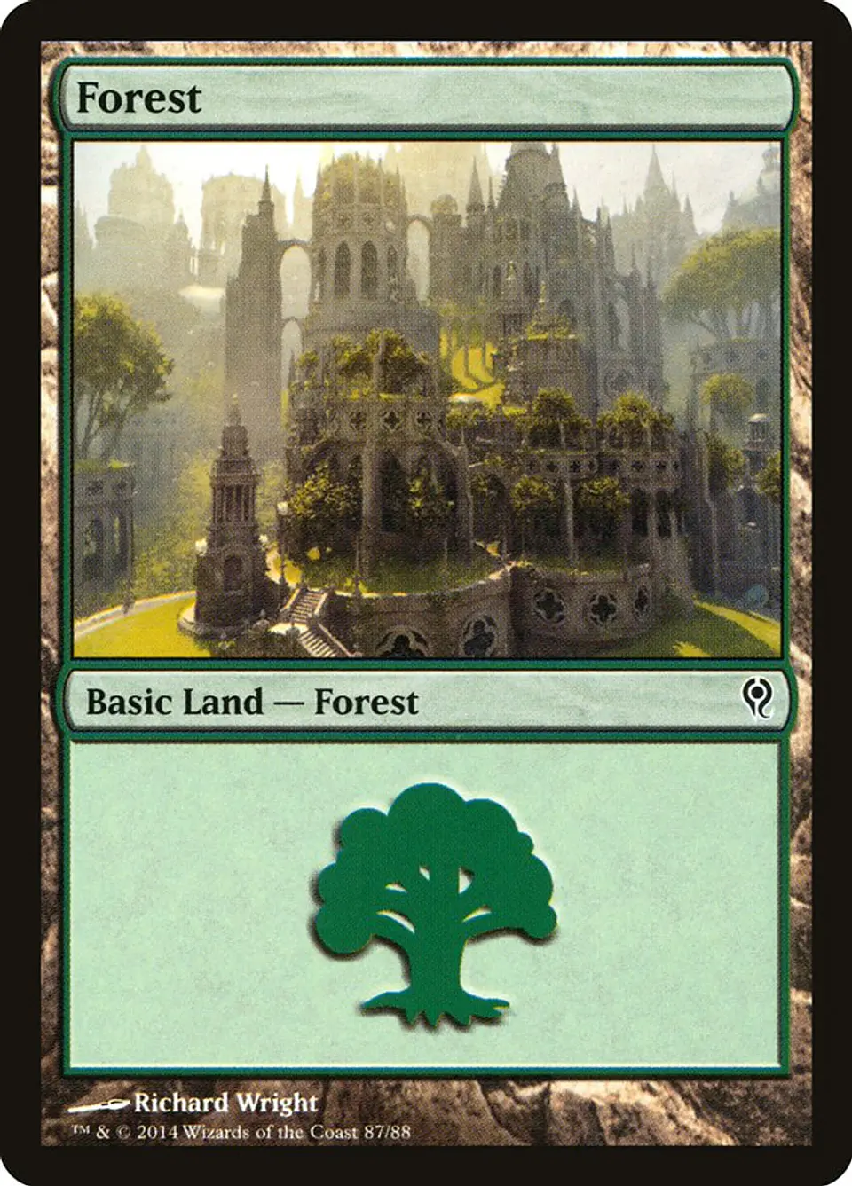Forest 1