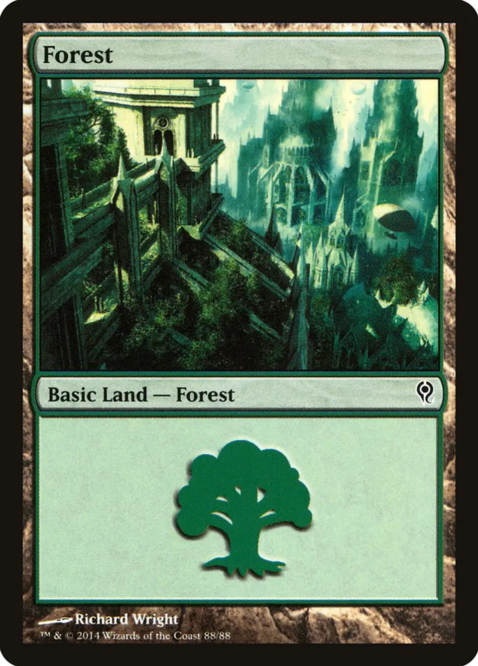 Forest 1