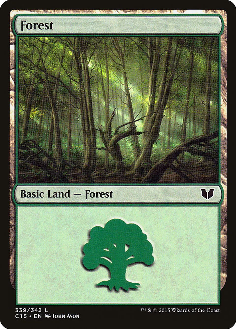 Forest 1