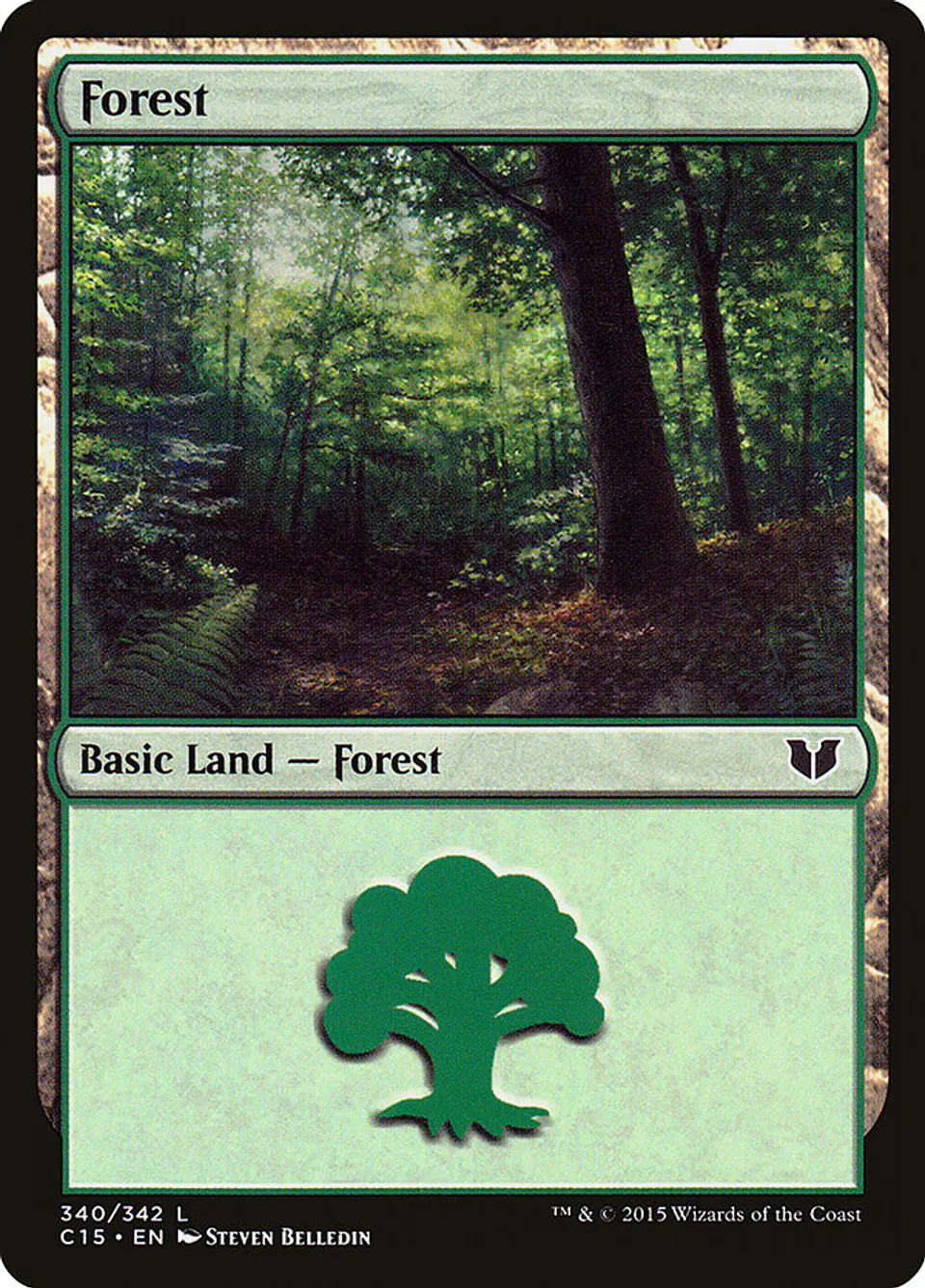Forest 1