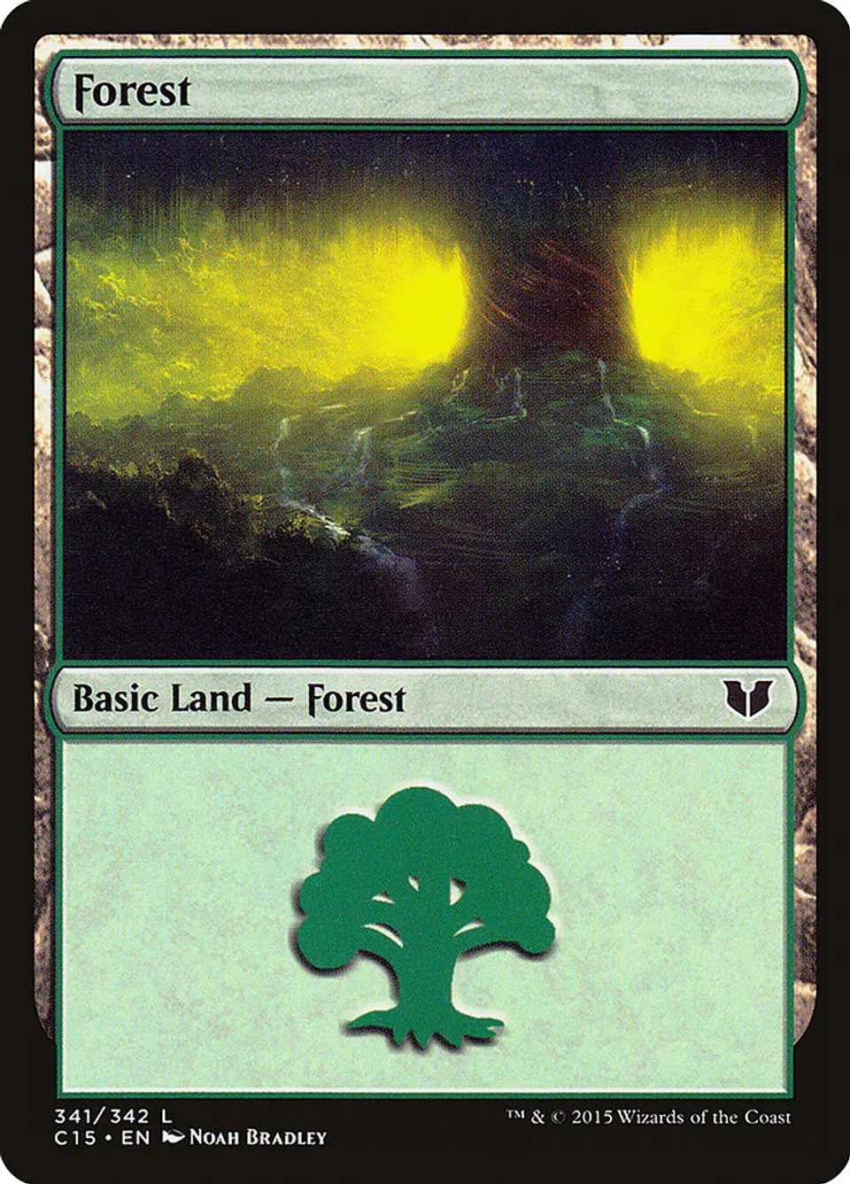 Forest 1