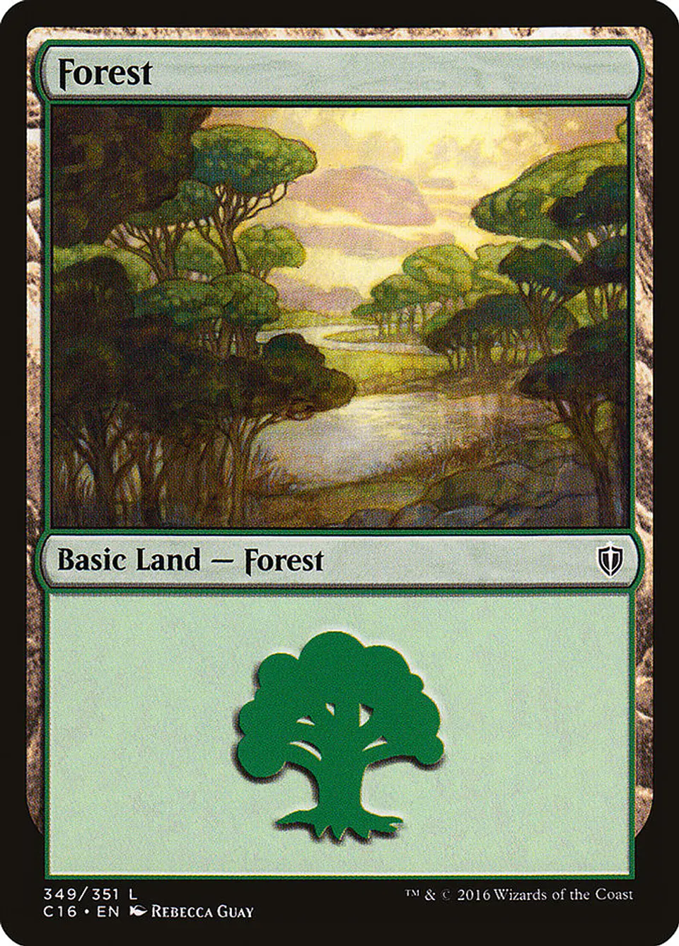 Forest 1