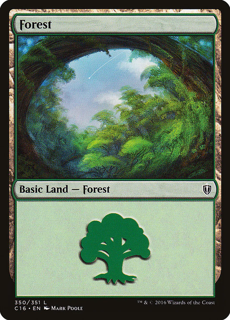 Forest 1