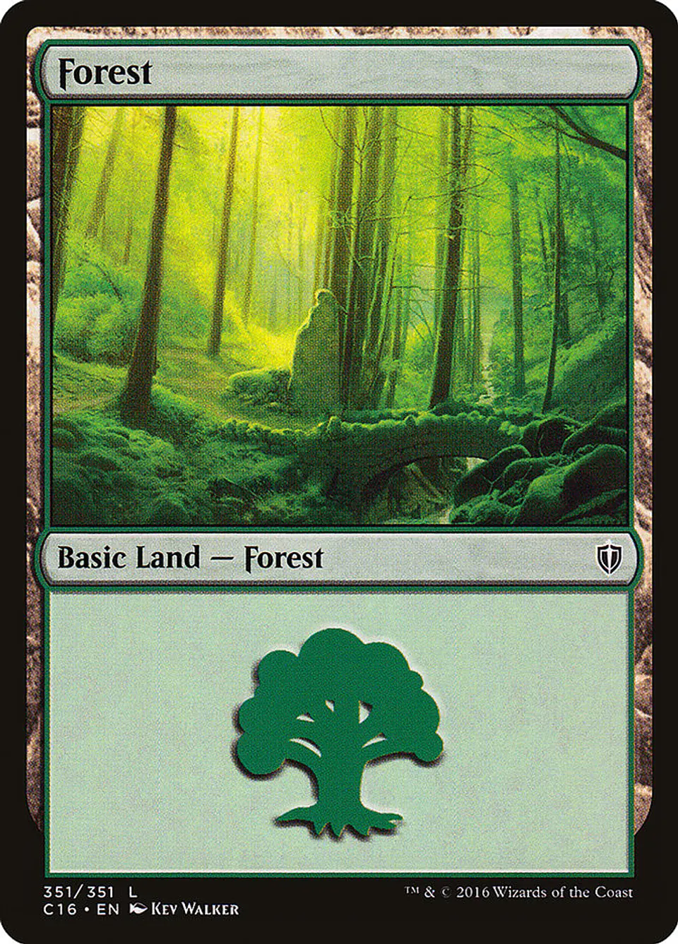Forest 1