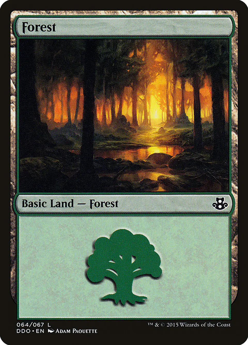 Forest 1