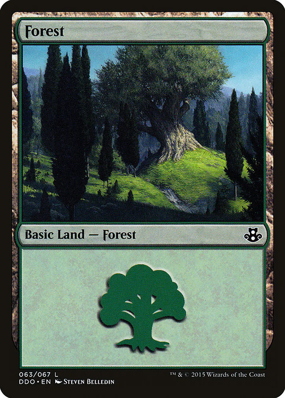 Forest 1