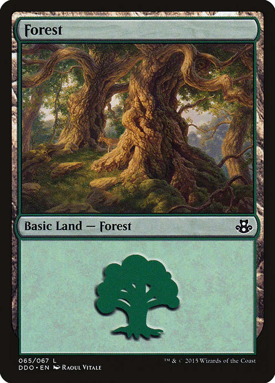 Forest 1