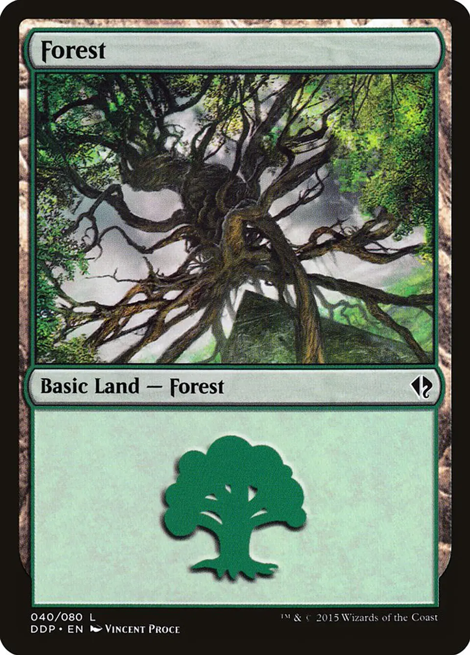 Forest 1