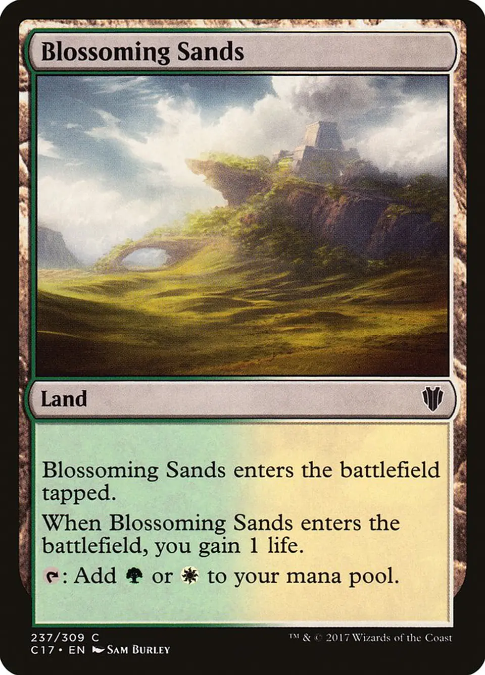 Blossoming Sands 1