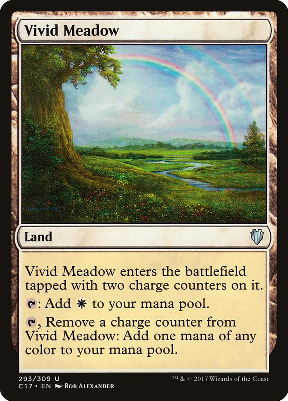 Vivid Meadow 1