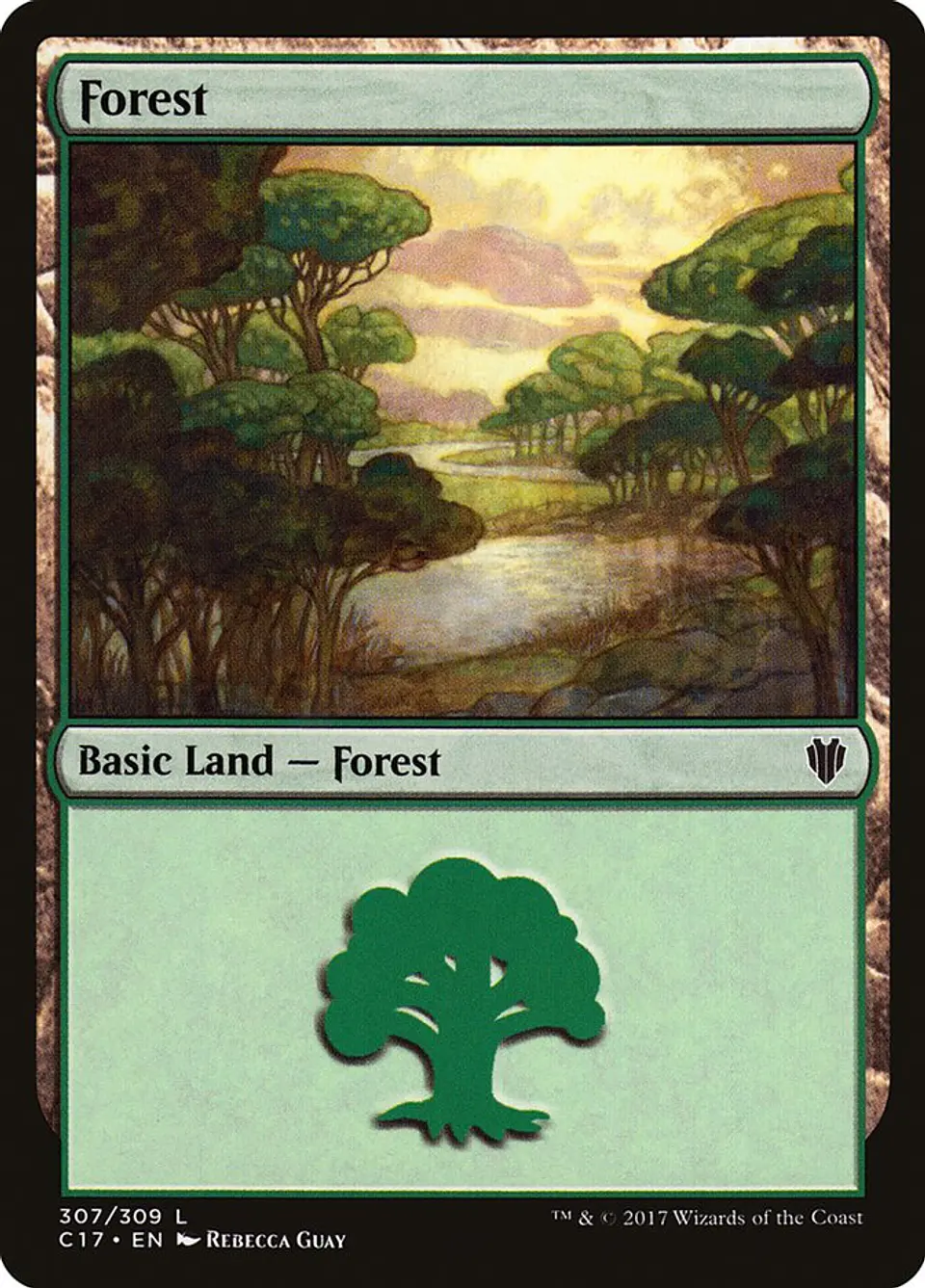 Forest 1