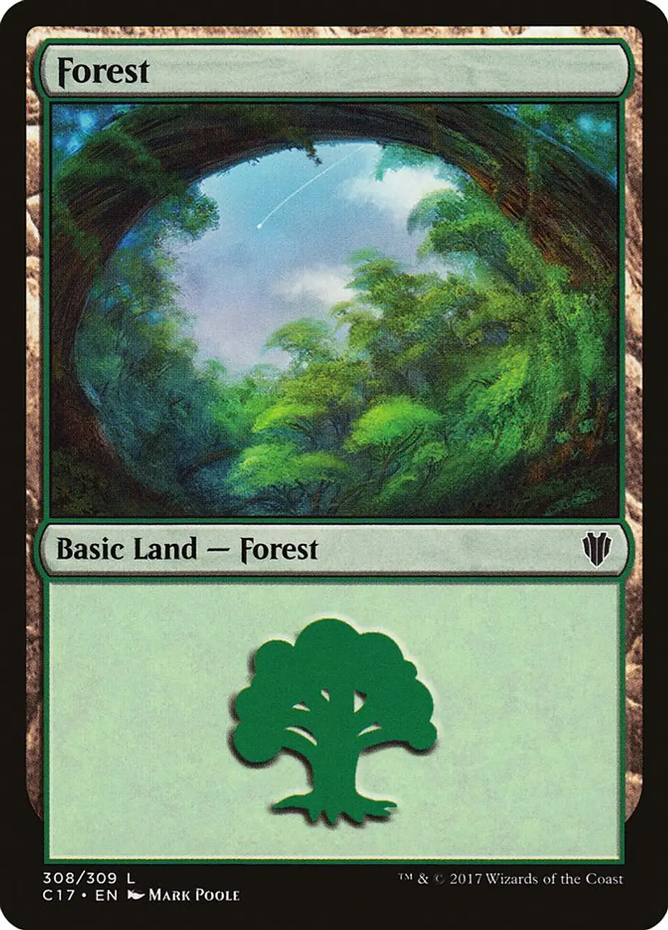 Forest 1