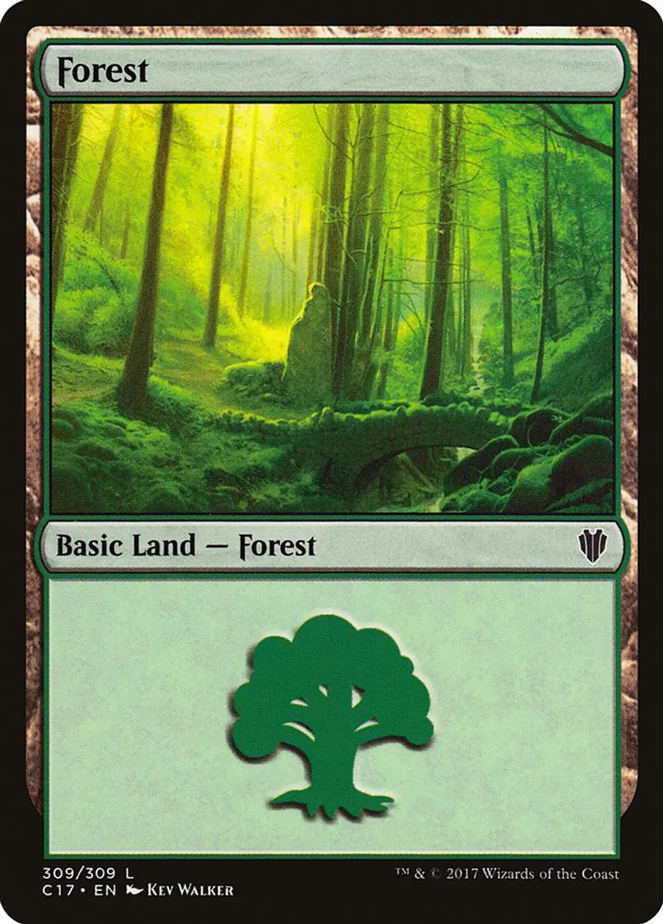 Forest 1