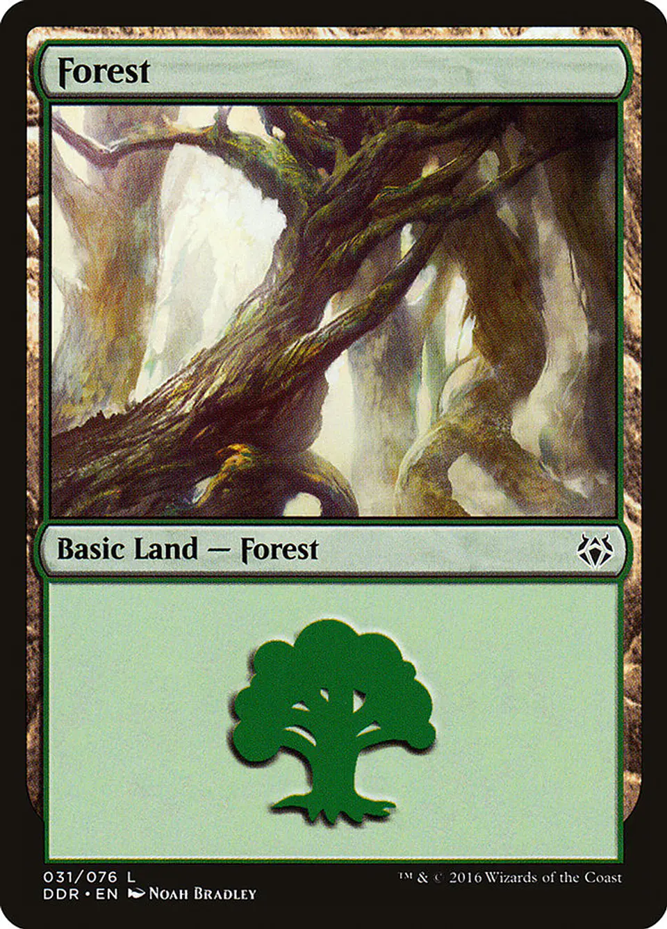 Forest 1