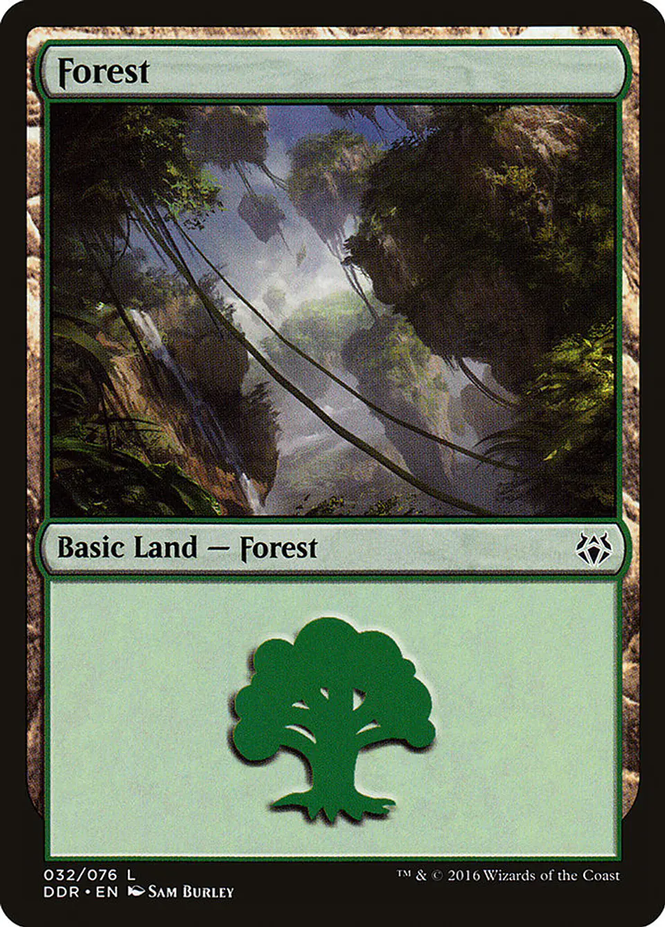 Forest 1