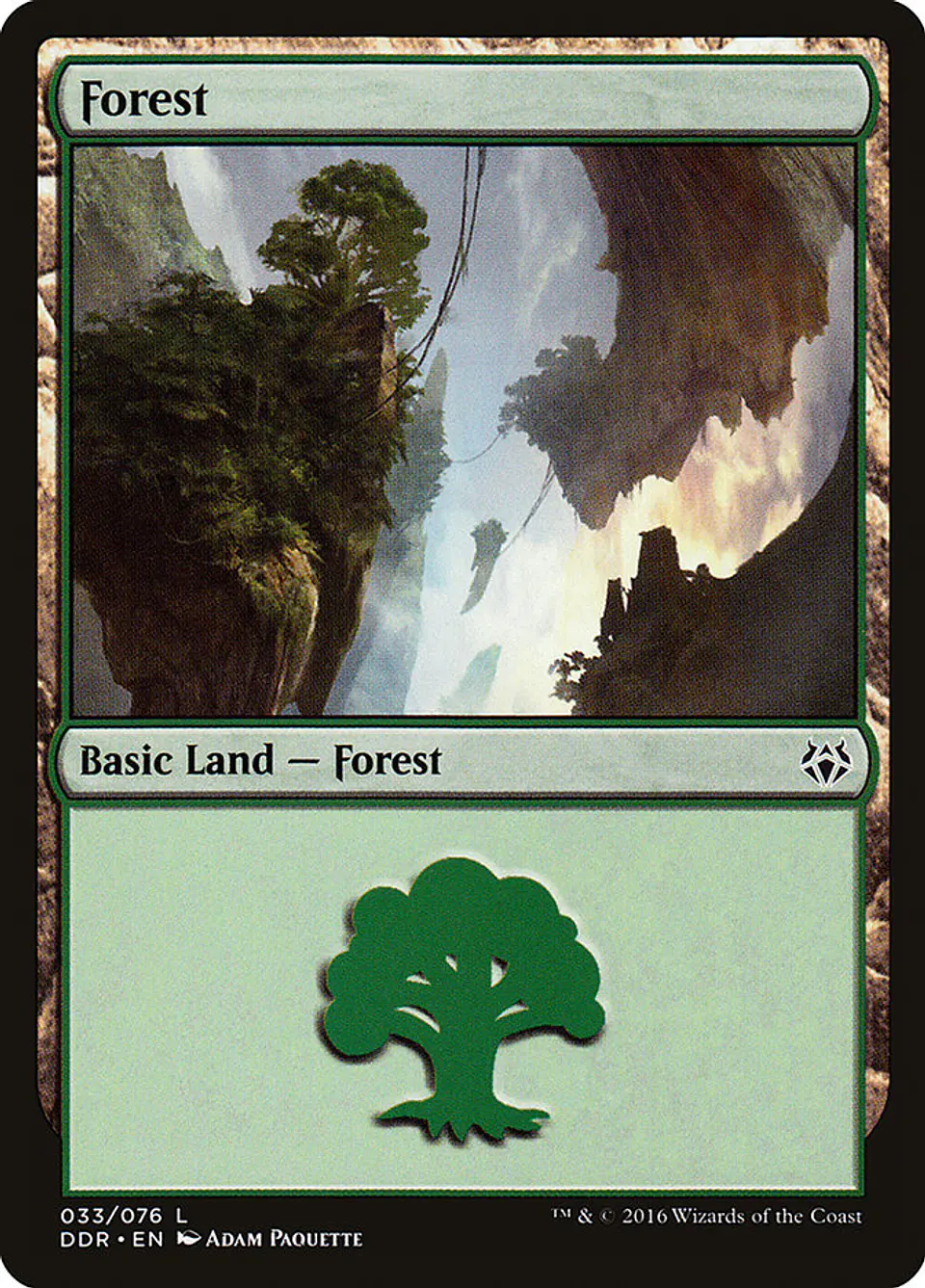 Forest 1