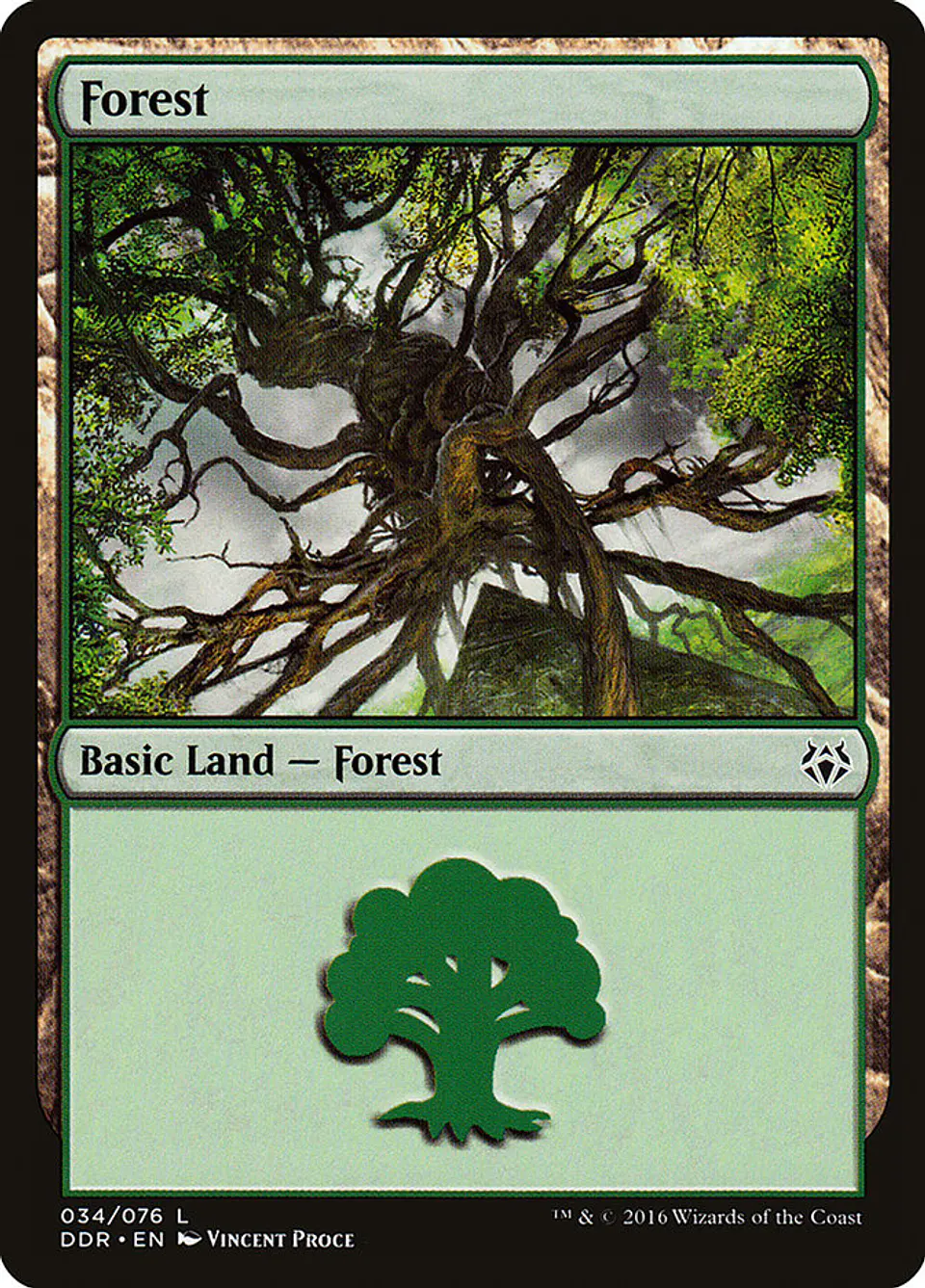Forest 1