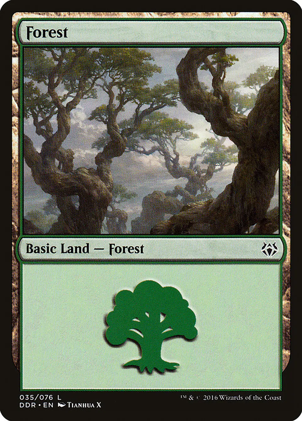 Forest 1