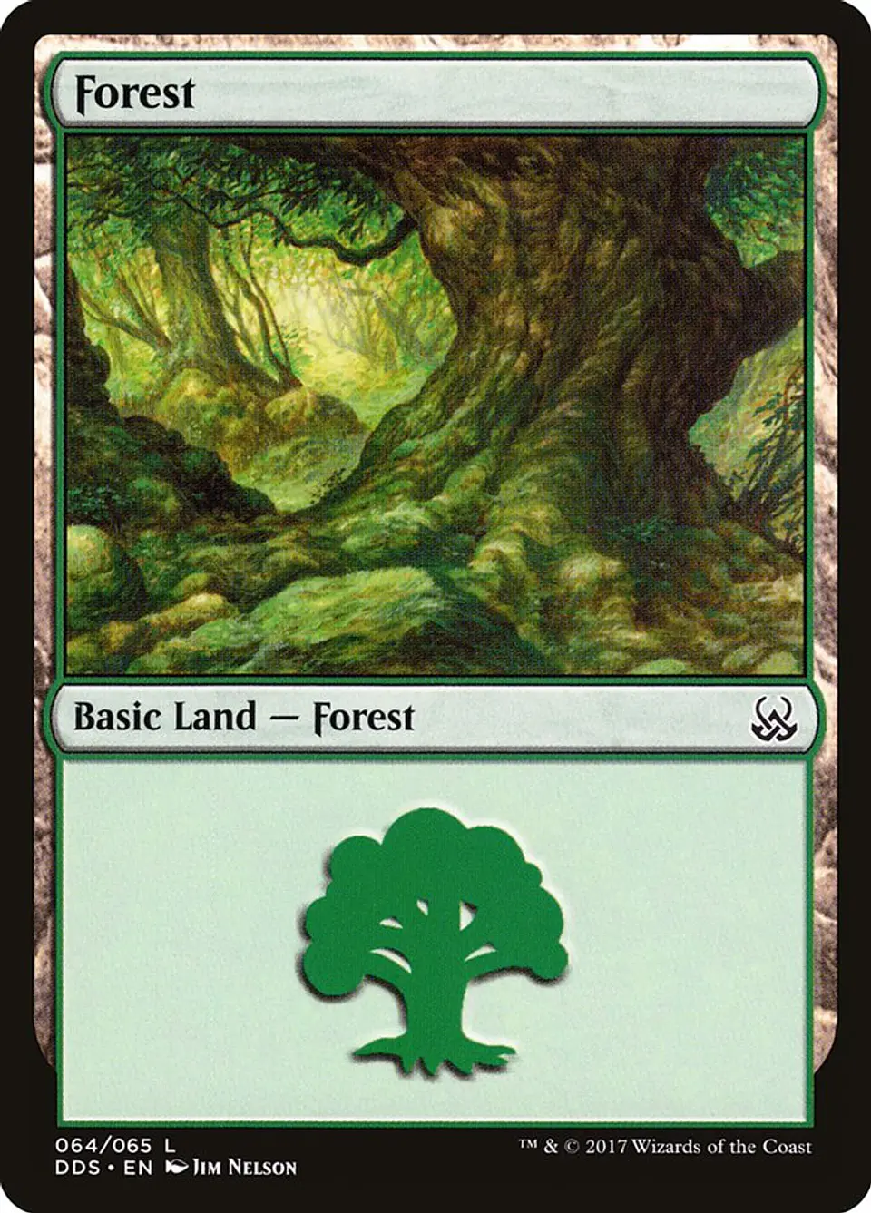 Forest 1