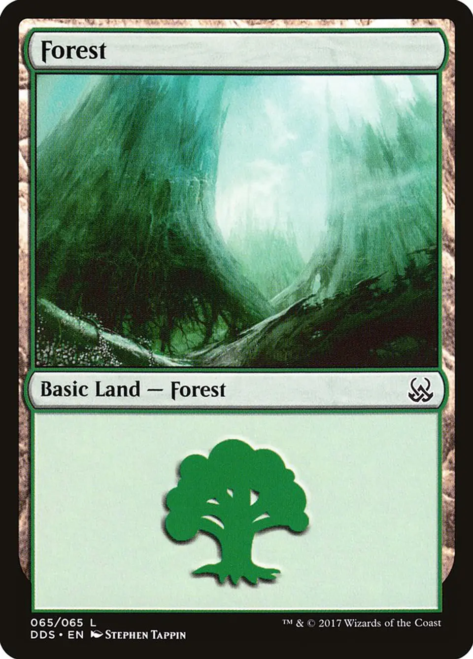 Forest 1