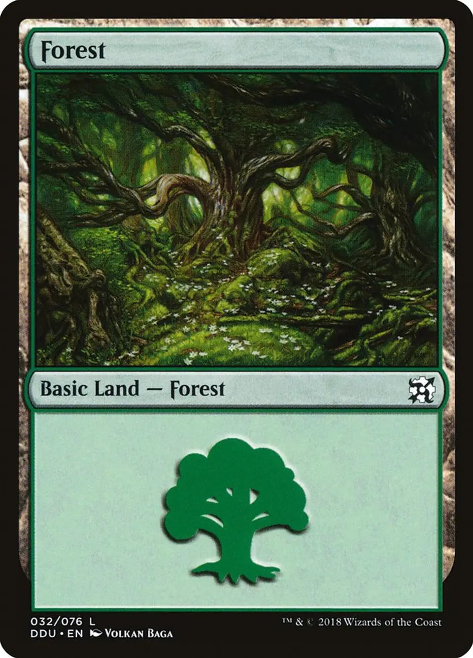 Forest 1