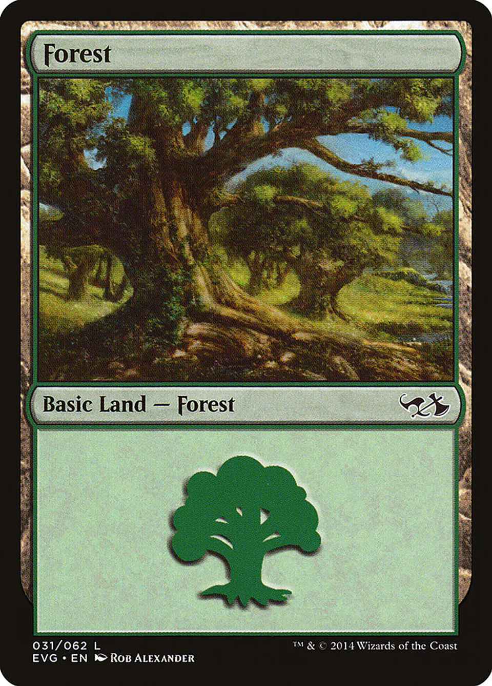 Forest 1
