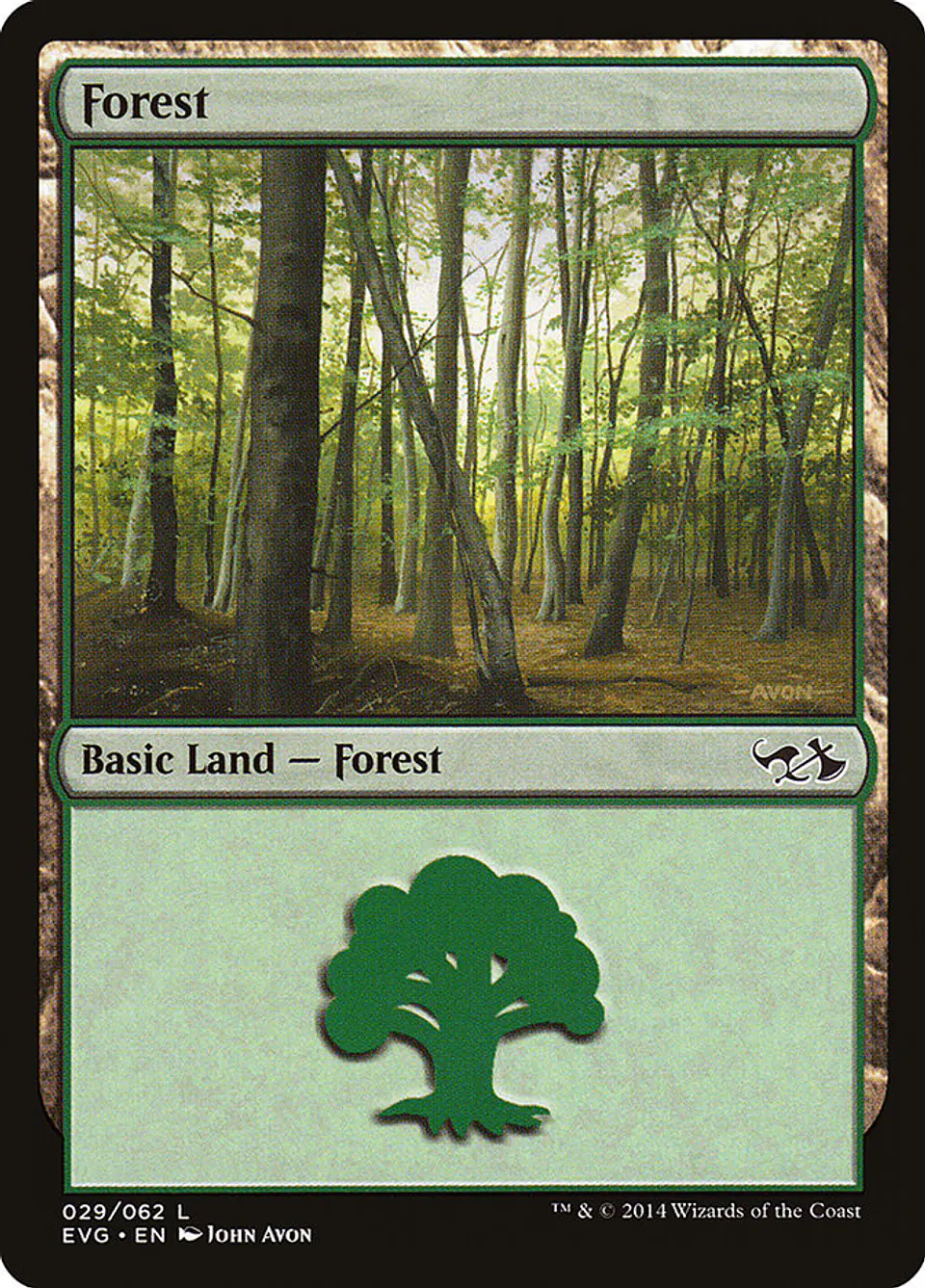 Forest 1