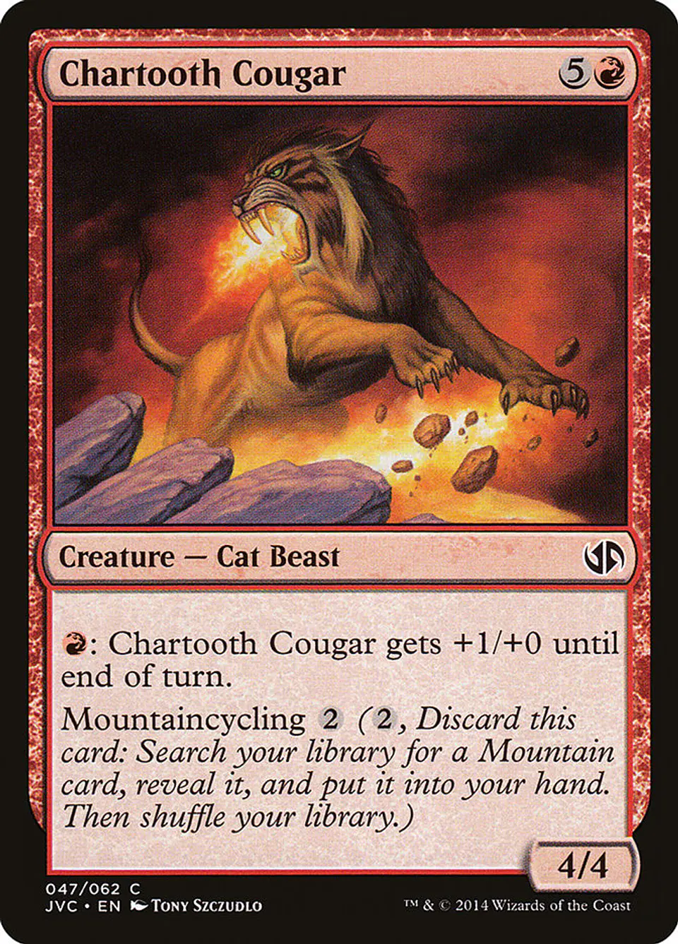 Chartooth Cougar 1