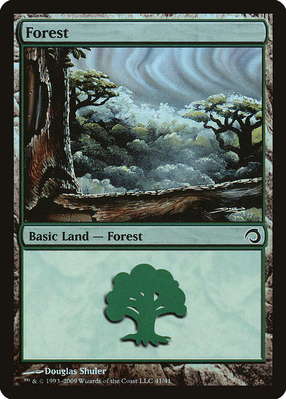 Forest 1